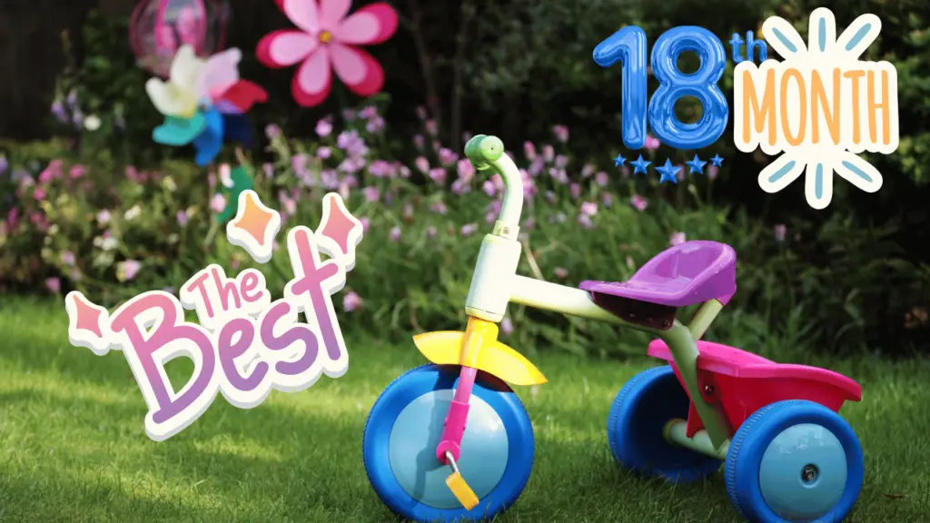 Best tricycles for 18 month old