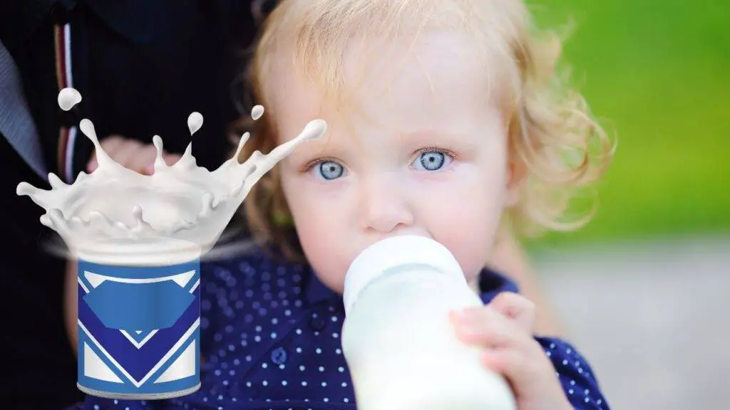 Do Toddlers Need Formula Milk