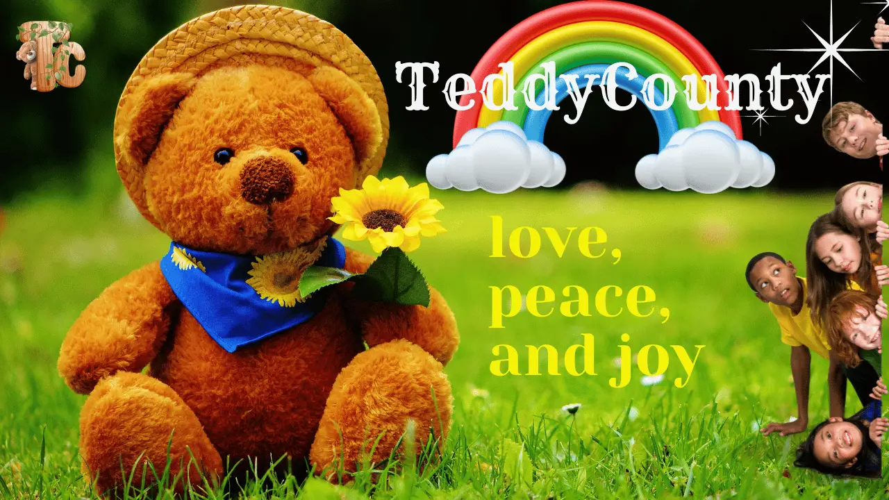 (c) Teddycounty.com