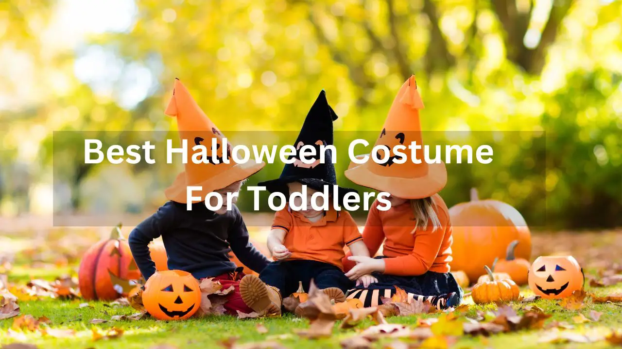 Best Halloween Costumes for Toddlers 2024 TeddyCounty