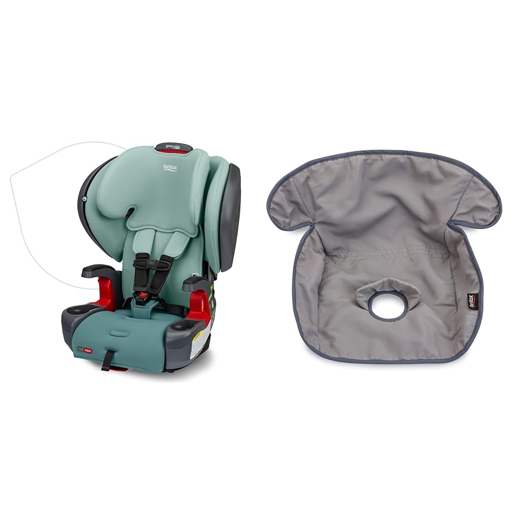 3 point vs 5 point harness car seat